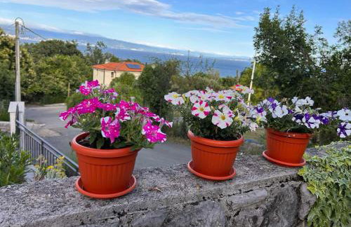 Villa Zita Lovran - Foto 24