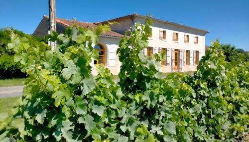Château Fongiras 11 personnes Médoc - Foto 3