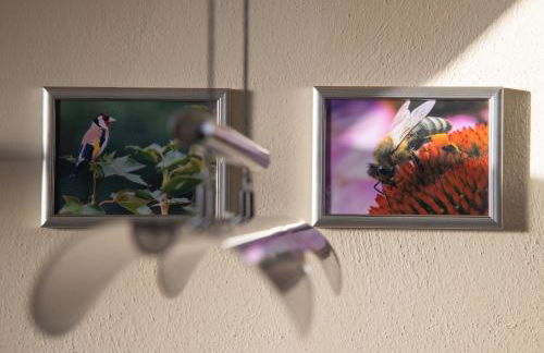 Ferienwohnung an den Grundwiesen - Foto 16