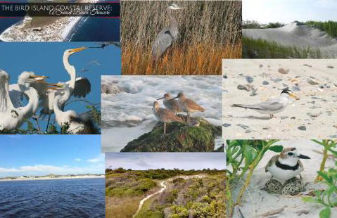 ON ISLAND Ocean View Beachy Studio in Campy 1970s Converted Motel - Foto 15