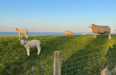 Ferienwohnung HEIN am Nordseedeich - Photo 20