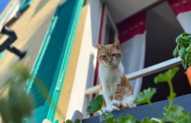 Holiday Home Liliana - Foto 12