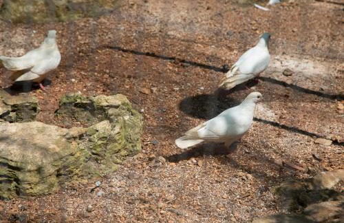 Villa dei Sogni Gallipoli - Foto 79