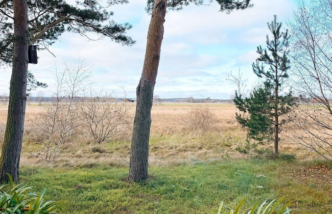 4 Star Holiday Home in Yngsjo-by Traum - Foto 15