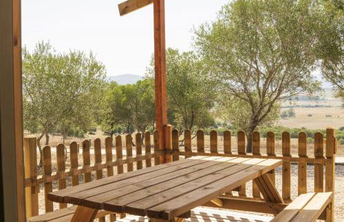 Finca Florida - Foto 25