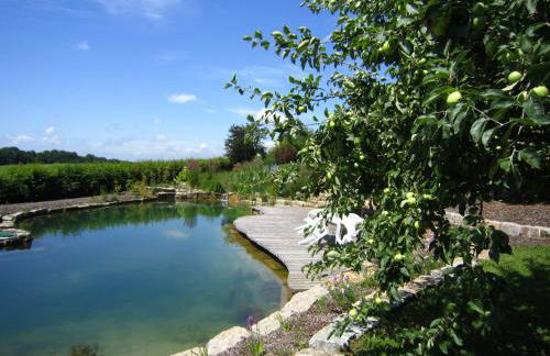 Gästehaus Schloss Kronburg - Foto 13