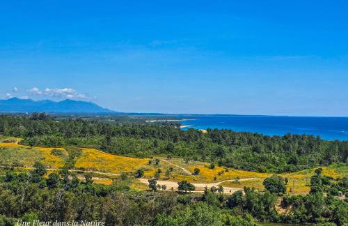 Gîte L'Appart de Case Vanille - Foto 6