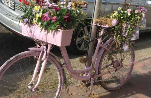 Fewo Schwalbennest-exklusiv-eigener Strandzugang-Wellenrauschen - Photo 54