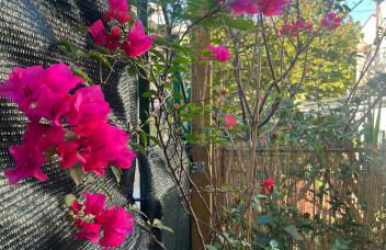 Appartamento il Giardino - Foto 23