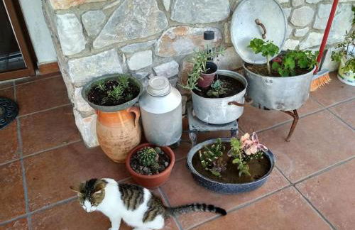 Κτήμα Κουρλή - Photo 13