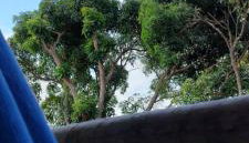 Recanto Manoah MAR - Foto 3