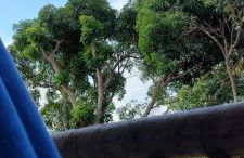 Recanto Manoah MAR - Foto 3