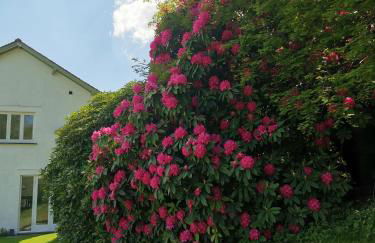 Treeside woodhouse - Foto 63