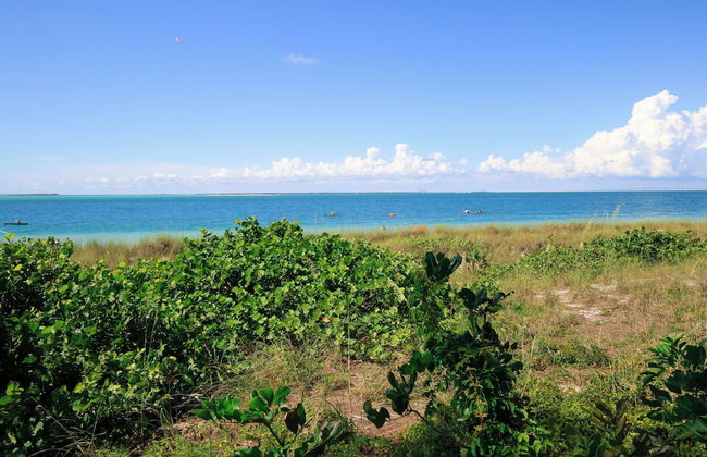 Sunshine Siesta - Hosted By SkyRun Anna Maria - Foto 69