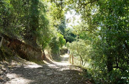 Casa do Jorge - Foto 50