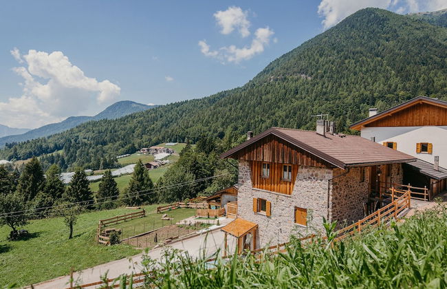 Maso Del Fieno - Photo 32