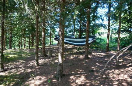 Silver Juglans Holiday Home - Photo 23