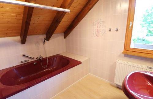 Haus Panoramablick - Fewo Alpenblick, Höchenschwand - Foto 9