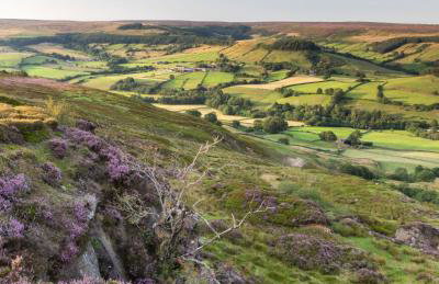 Stunning Lodge at Runswick Bay - Dog Friendly - Foto 25