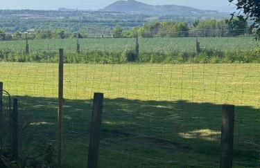 Sea View House - Photo 32