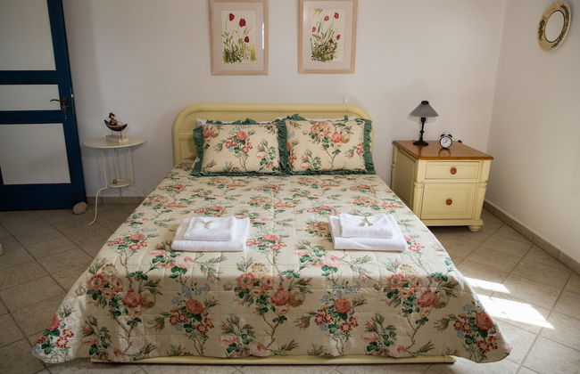 Blue Fort - Photo 32