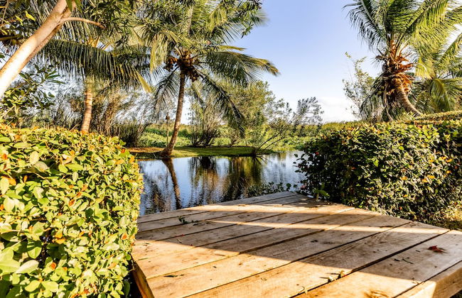 Kibayo Cabarete - Photo 80