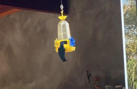 Casa de campo com muito verde e paz, 2 quartos, Wi-Fi, churrasqueira, deck, trilha - Foto 2