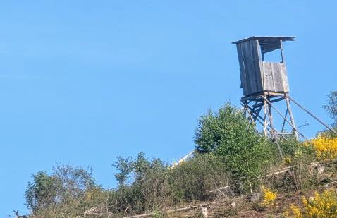 Ferienwohnung im Schwedenhaus - Foto 20