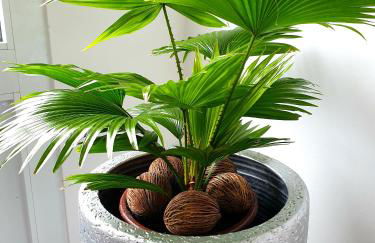 Casa da Quinta - Photo 20