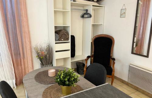 Studio garden and serenity, near Eurexpo and GroupamaStadium - Foto 43