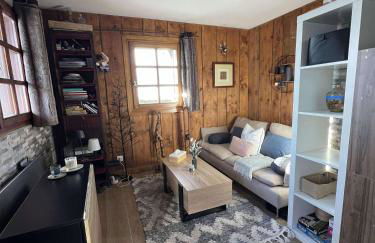 Ali'Home vue MontBlanc - T2 de charme - Foto 1