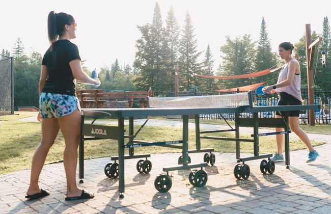 Le Cerf 40 Citq 234861 - Foto 7