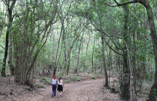 Casa Rural El Rincón de Antonia - Foto 54