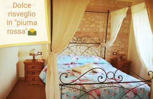 Il Poggio Dei Pettirossi - Foto 10