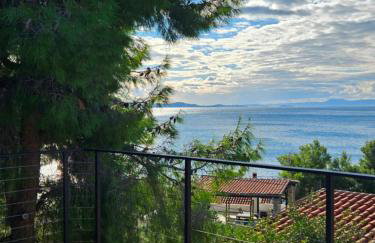 Nada Apartment, Uvala Koramaslinova, Brač - Photo 19