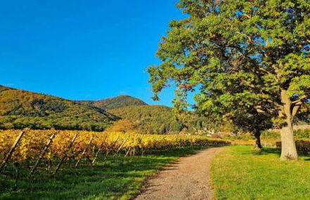 Feng Shui apartment in small farmhouse - Foto 8