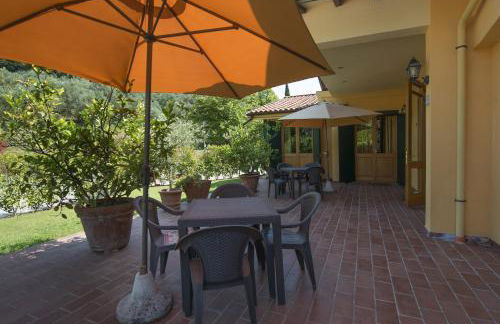 Cecco di Nara - Foto 23