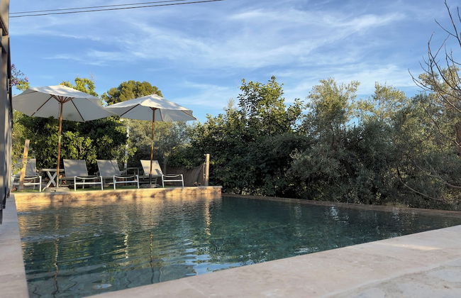 Finca Las Fuentezuelas - Photo 42