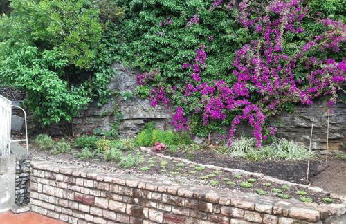 Olivo House 2 - Photo 6