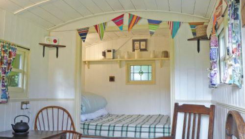 Cwt Cwtshlyd - Photo 5