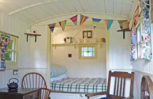 Cwt Cwtshlyd - Photo 5