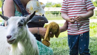 Botany Farm, South Creake - Foto 2