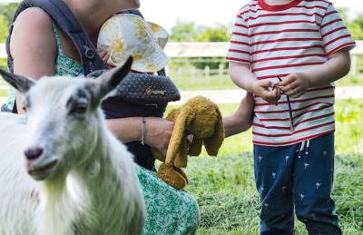 Botany Farm, South Creake - Foto 2