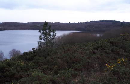 Gîte LES CHANTS DU CREPUSCULE - Foto 43
