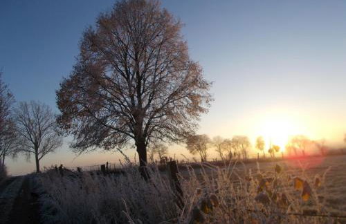 Natur und Ruhe - für Ruhe suchenden - Photo 16