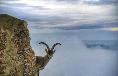 La casita del Cerro - Foto 42