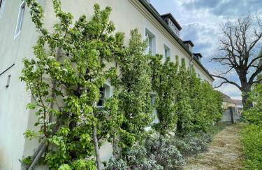 Gärtnereihaus in Fürstlich Drehna - Spreewald - Foto 1