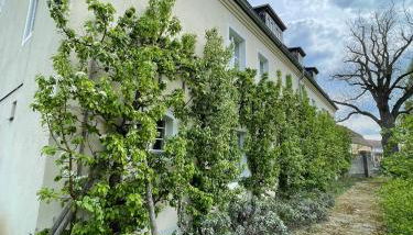 Gärtnereihaus in Fürstlich Drehna - Spreewald - Foto 1, Garden view