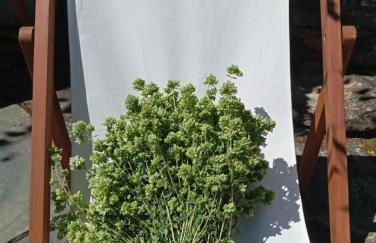 Art-Marvão, Alojamento Rural - Foto 58