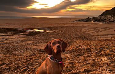 4 Rockham - Luxury Apartment at Byron Woolacombe, only 4 minute walk to Woolacombe Beach! - Foto 31